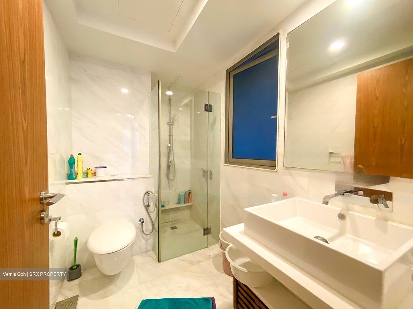 Suites At Orchard (D9), Apartment #546102911